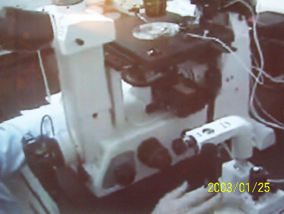 l'ancien microscope vidéo rmx